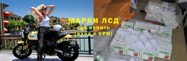 ПСИЛОЦИБИНОВЫЕ ГРИБЫ Бородино