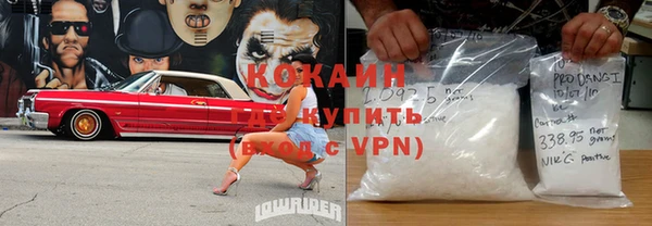 ПСИЛОЦИБИНОВЫЕ ГРИБЫ Бородино